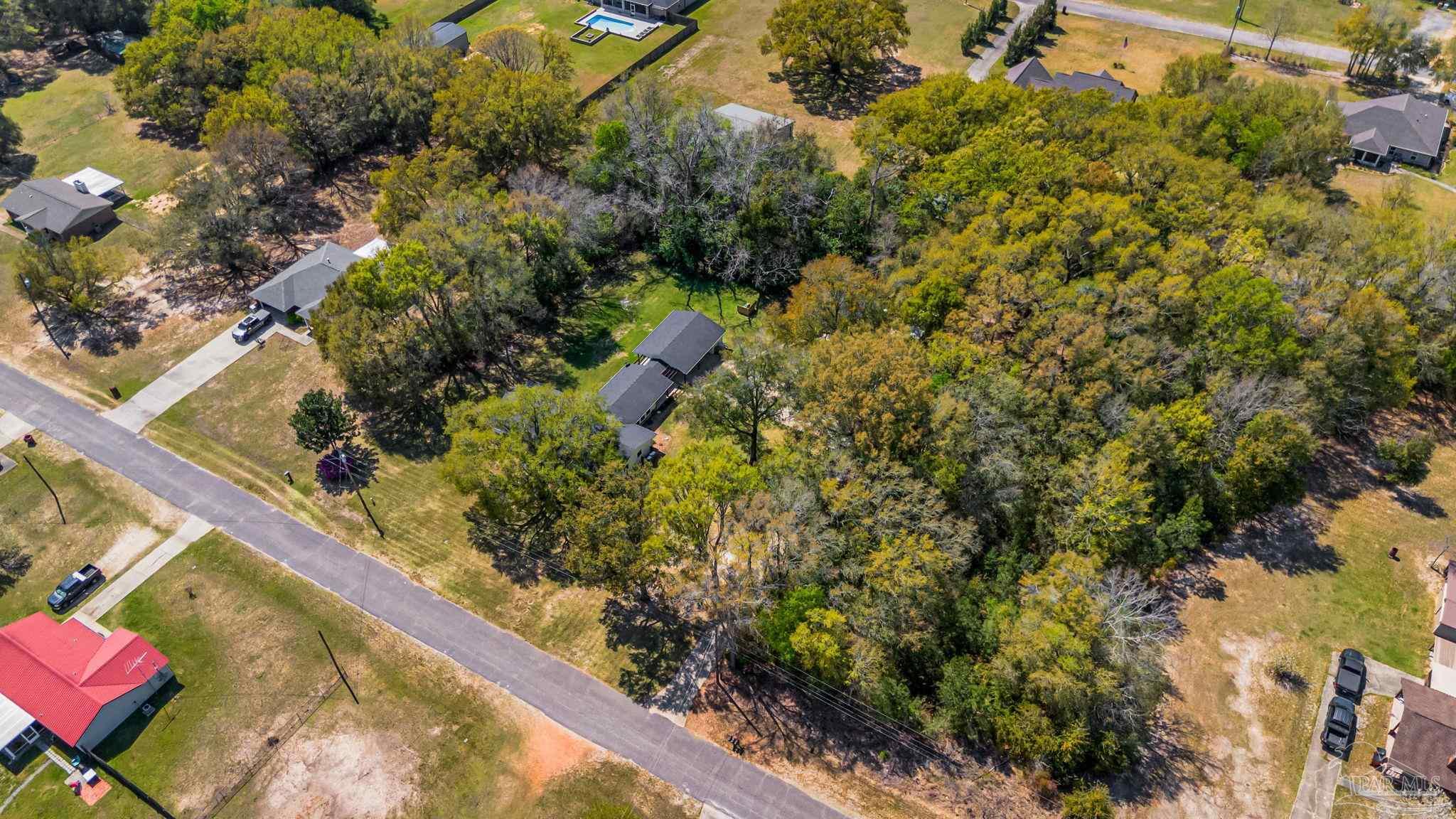 7175 Wallace Drive Pace, FL 32571 - Photo 68 of 71 a view of a garden with plants