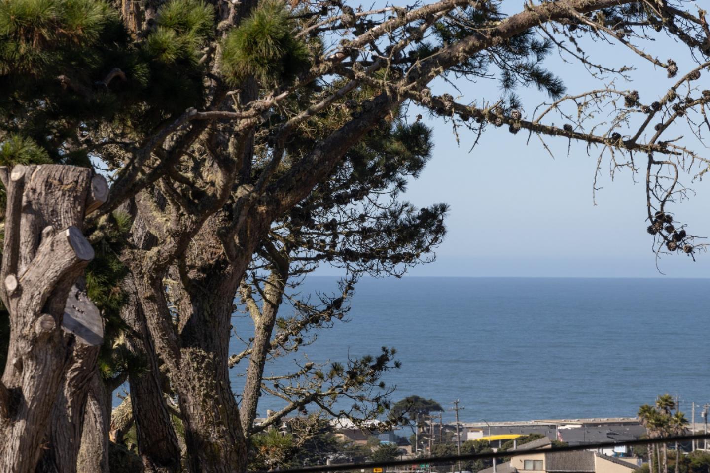 401 Monterey Road Pacifica, CA 94044 - Photo 11 of 39 a view of a lake with a tree