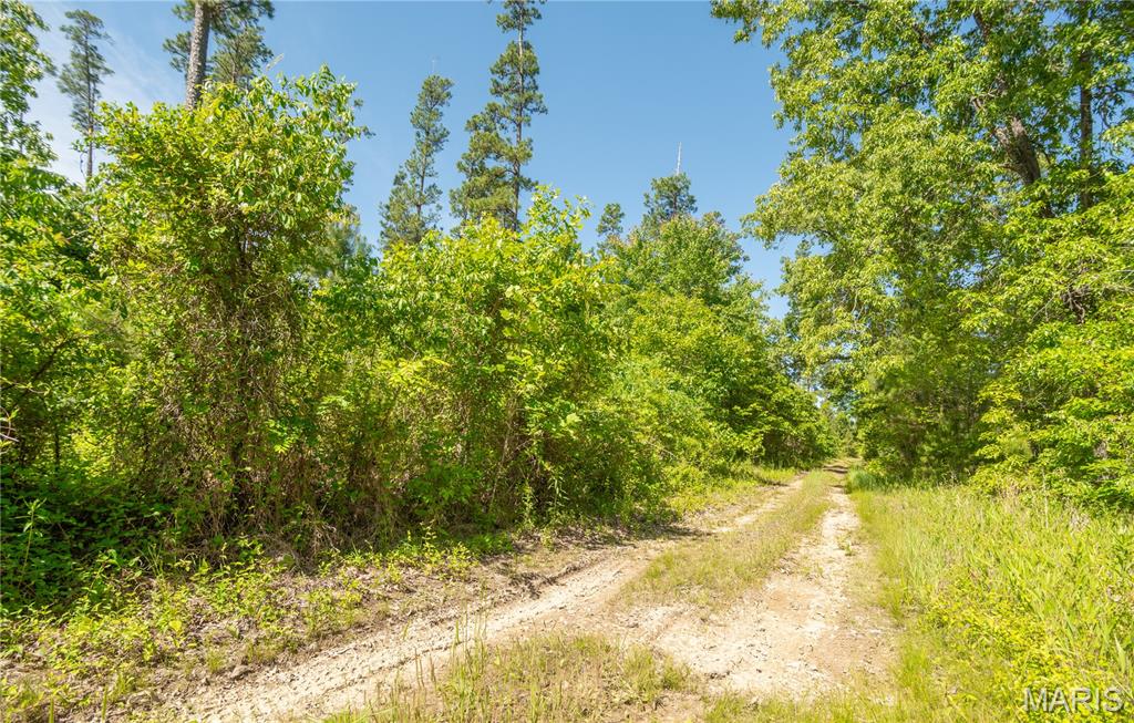 1743 Ripley Route North Doniphan, MO 63935 - Photo 81 of 97