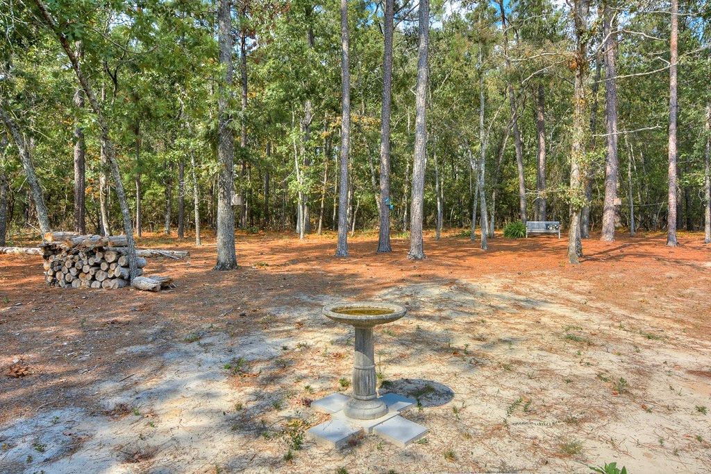 731 Wrights Mill Road Aiken, SC 29801 - Photo 28 of 29