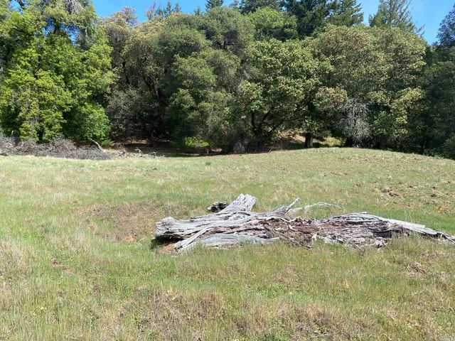 a view of a yard with an trees