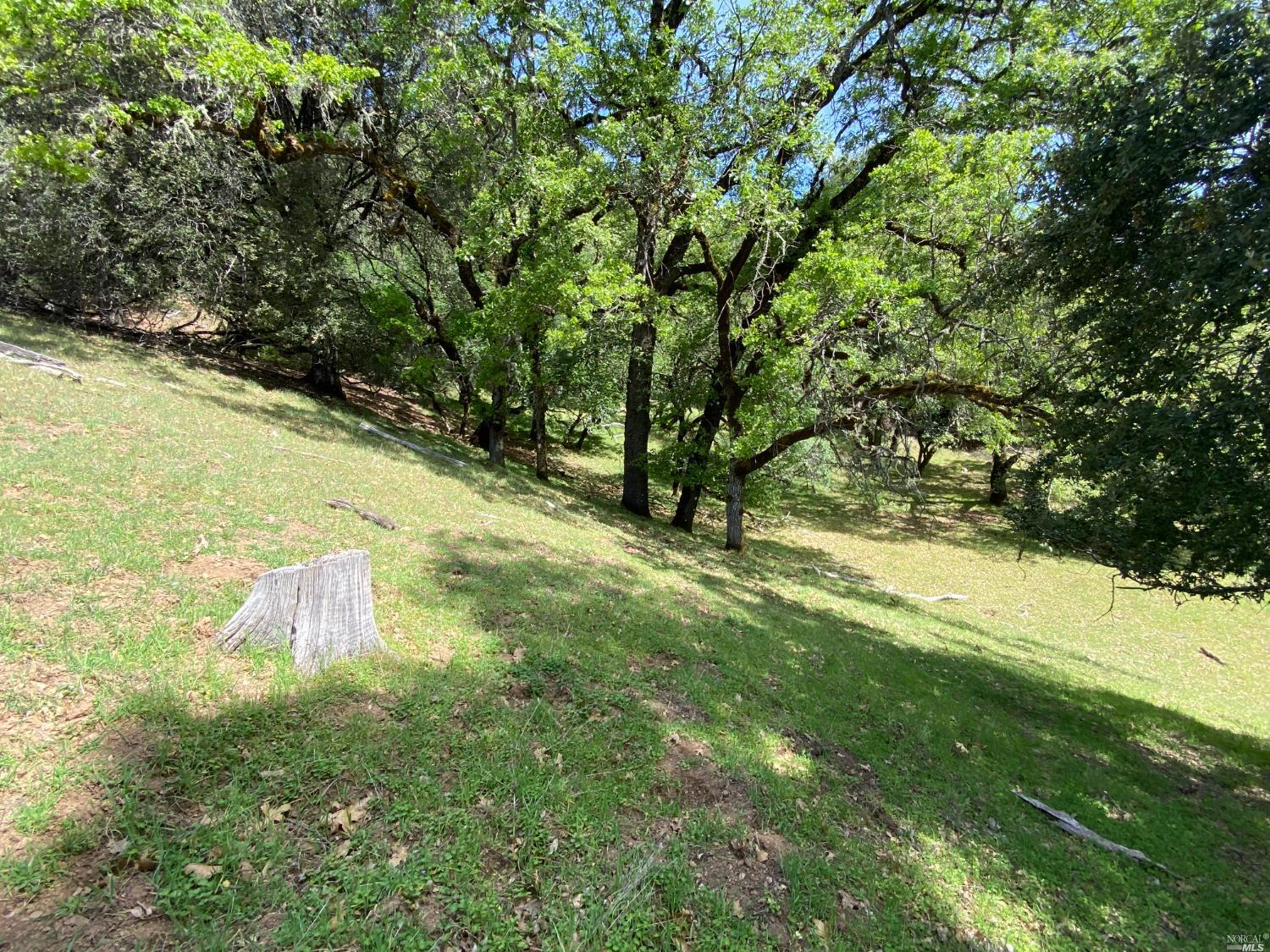 19010 Hulbert Road Hopland, CA 95449 - Photo 17 of 28 a view of a yard with an trees