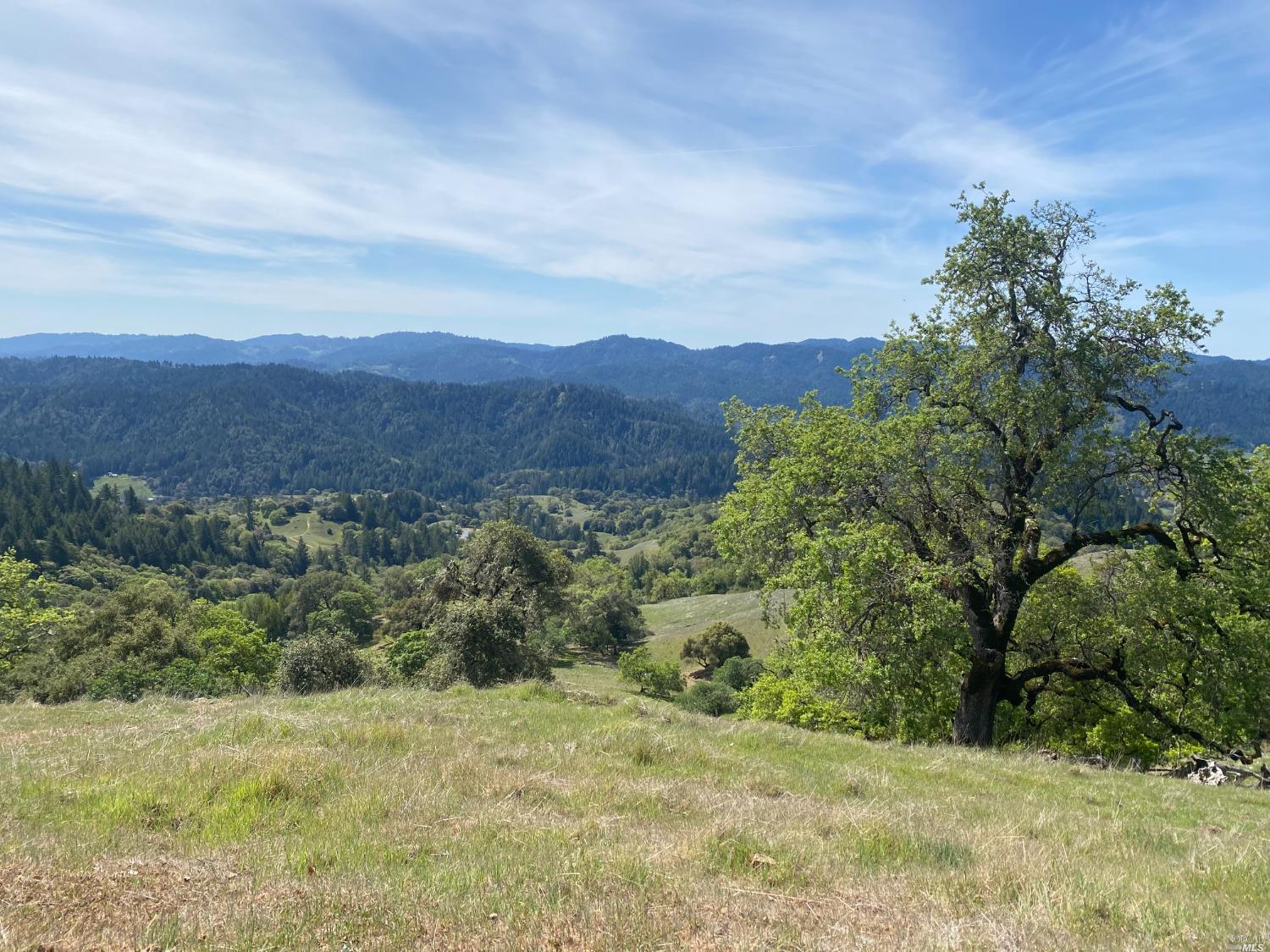 19010 Hulbert Road Hopland, CA 95449 - Photo 21 of 28 a view of a field with a tree in the background