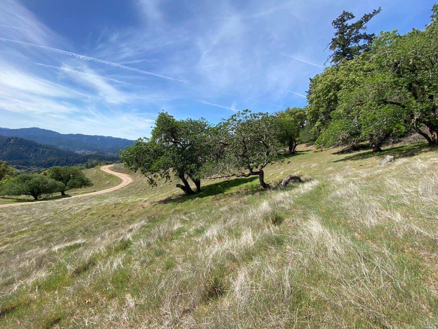19010 Hulbert Road Hopland, CA 95449 - Photo 26 of 28 a view of a yard with a tree