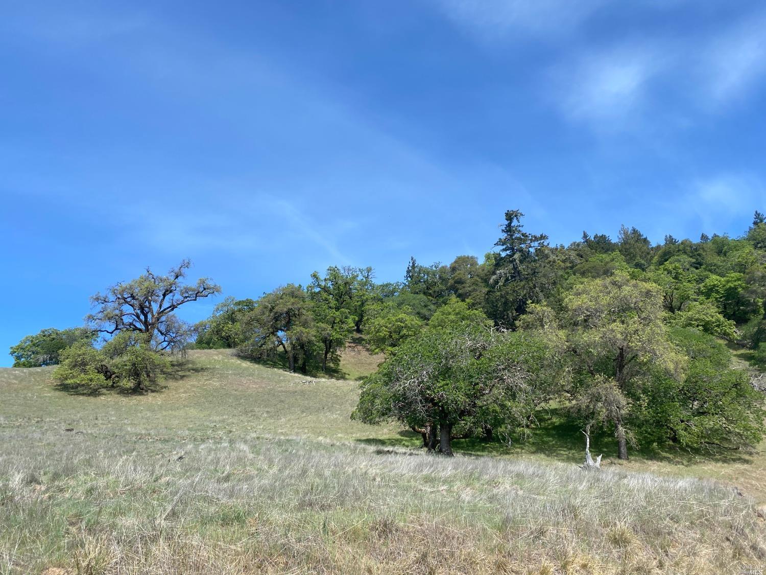 19010 Hulbert Road Hopland, CA 95449 - Photo 4 of 28 a view of a field with a tree