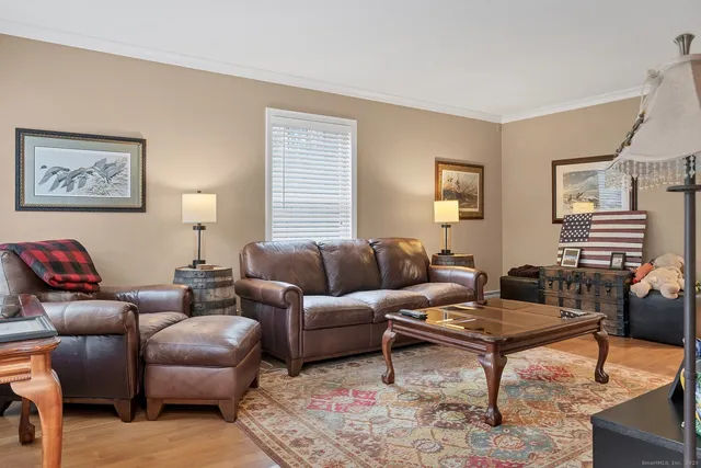 a living room with furniture a rug and a window