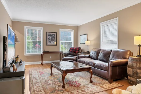 a living room with furniture a rug and a window