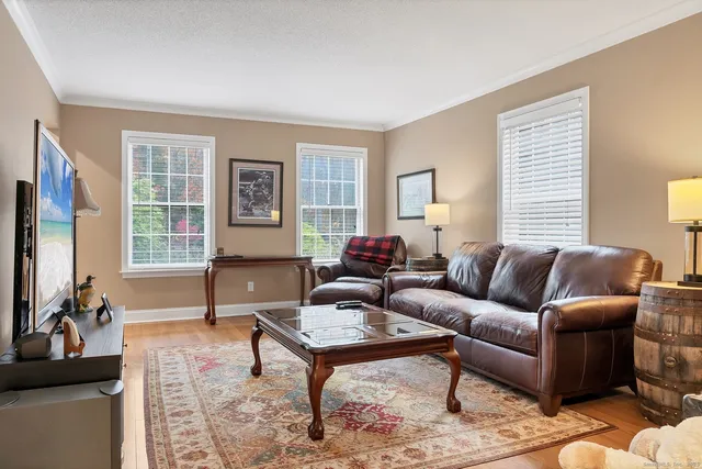a living room with furniture a rug and a window