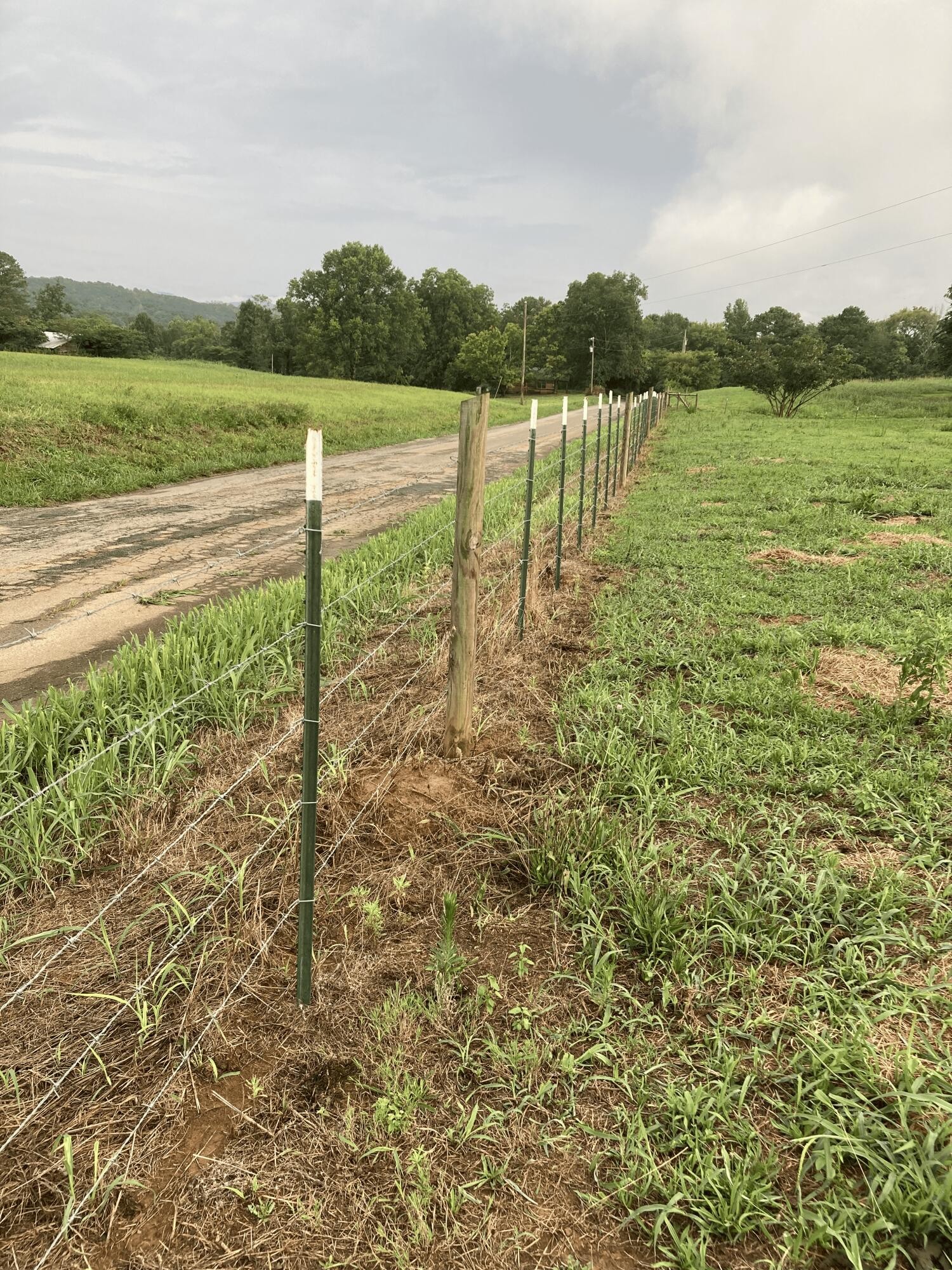 0 Swan Road Old Fort, TN 37362 - Photo 20 of 20