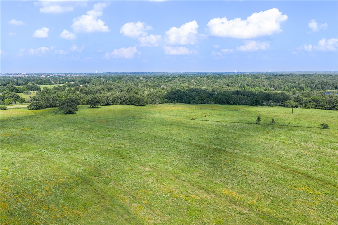 0 Hopes Creek Road College Station, TX 77845 - Photo 6 of 24