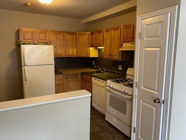 363 Hildreth Street, Unit 11 Lowell, MA 01850 - Photo 2 of 10