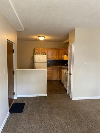 363 Hildreth Street, Unit 11 Lowell, MA 01850 - Photo 3 of 10
