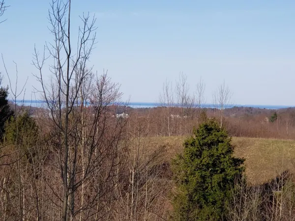$69,000 | Eagle Ridge Circle, Onekama, MI 49675