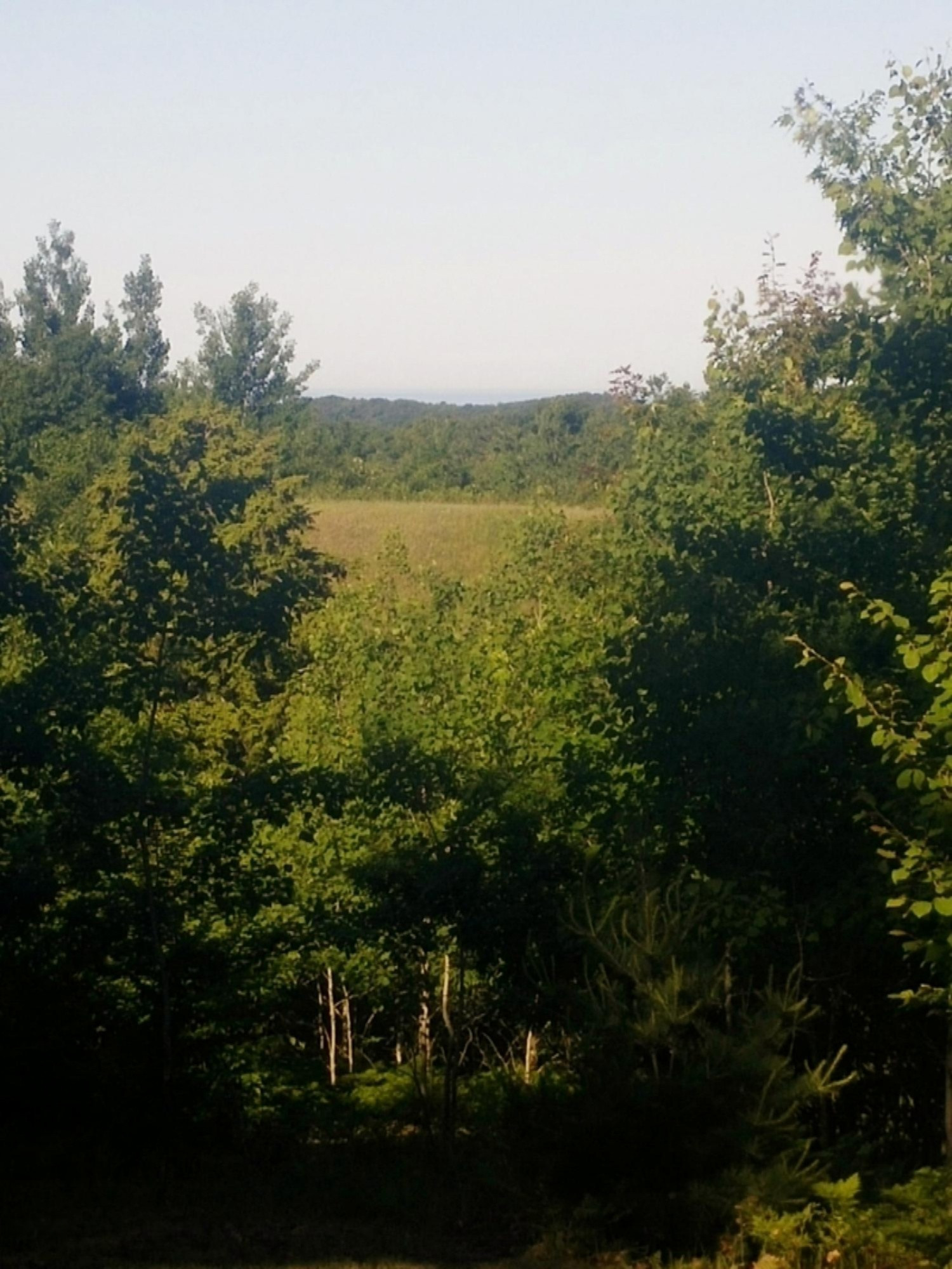 Eagle Ridge Circle Onekama, MI 49675 - Photo 3 of 25 View