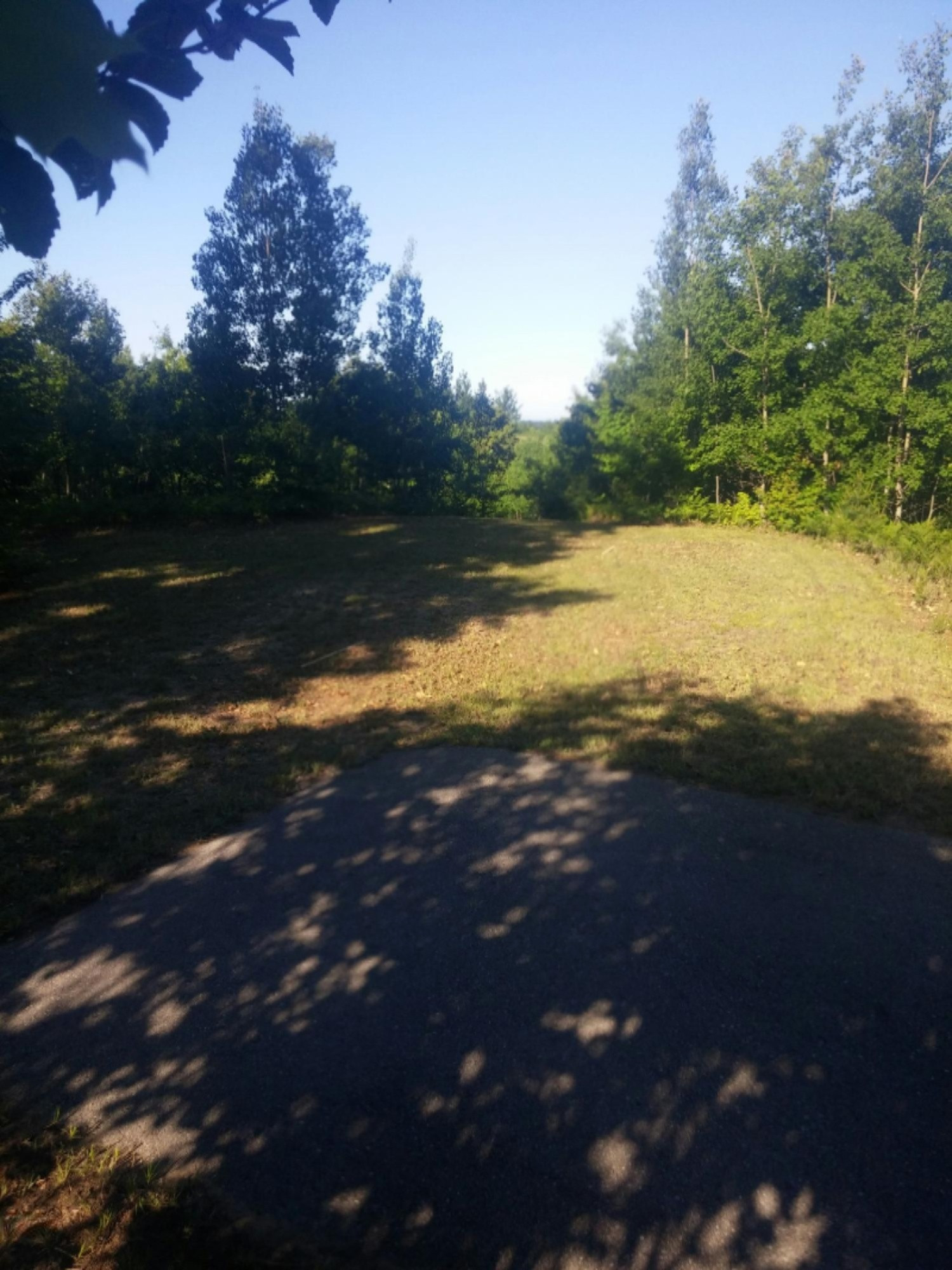 Eagle Ridge Circle Onekama, MI 49675 - Photo 4 of 25 Buildable area