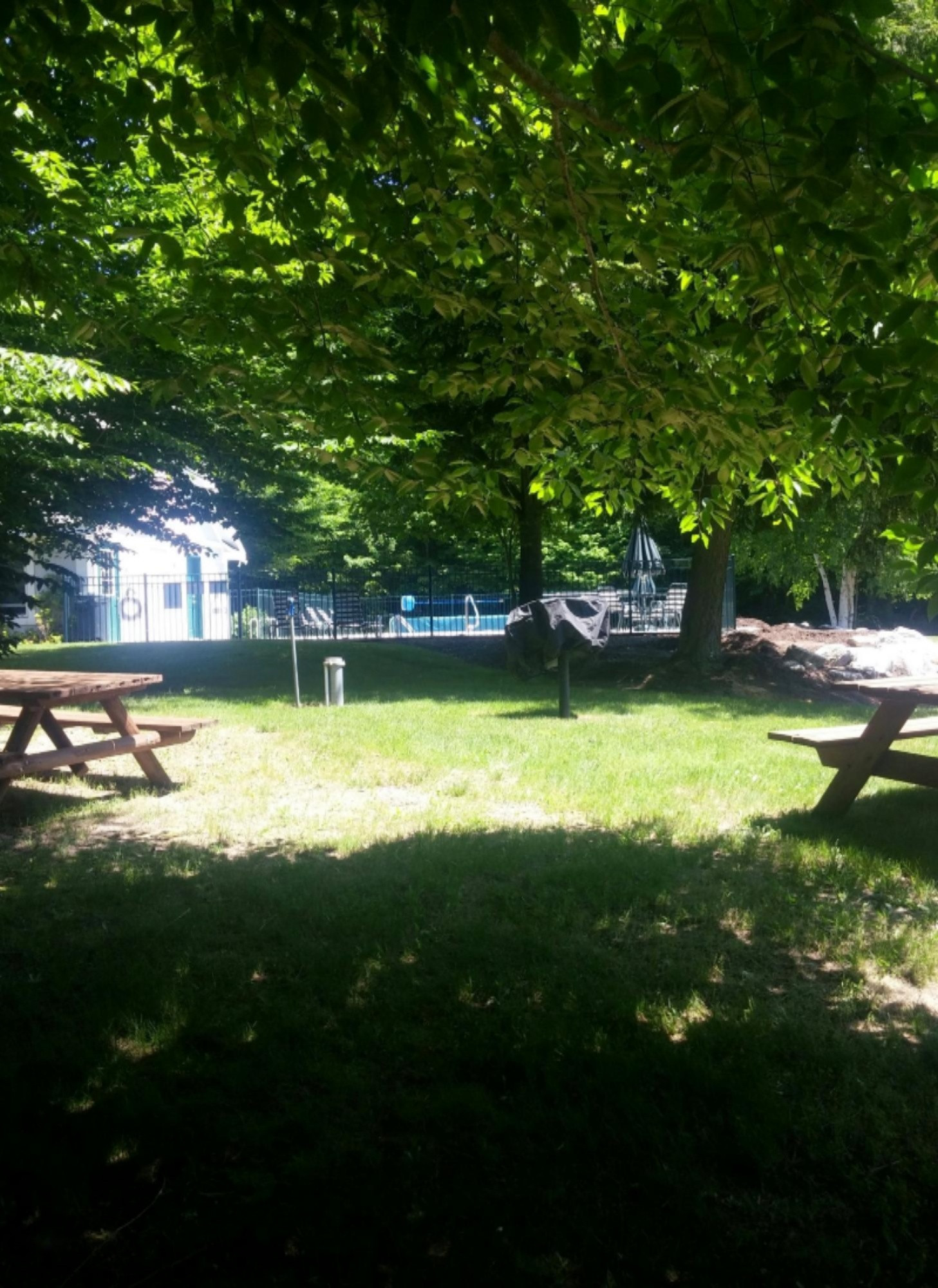 Eagle Ridge Circle Onekama, MI 49675 - Photo 9 of 25 Picnic Area