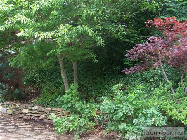 274 East Ridge Drive Boone, NC 28607 - Photo 19 of 29 Gallery Image 19