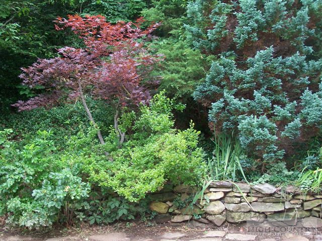 274 East Ridge Drive Boone, NC 28607 - Photo 20 of 29 Gallery Image 20