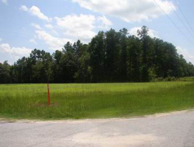 Tbd Tbd Burnt Branch/salem Road Manning, SC 29102 - Photo 1 of 1