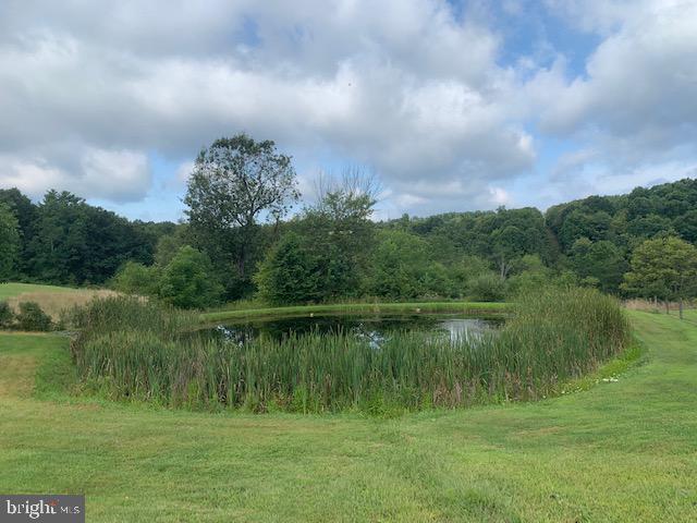 2201 East Graceville Road Everett, PA 15537 - Photo 16 of 88