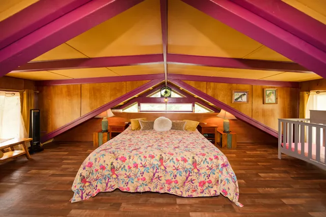 a view of backyard of the house