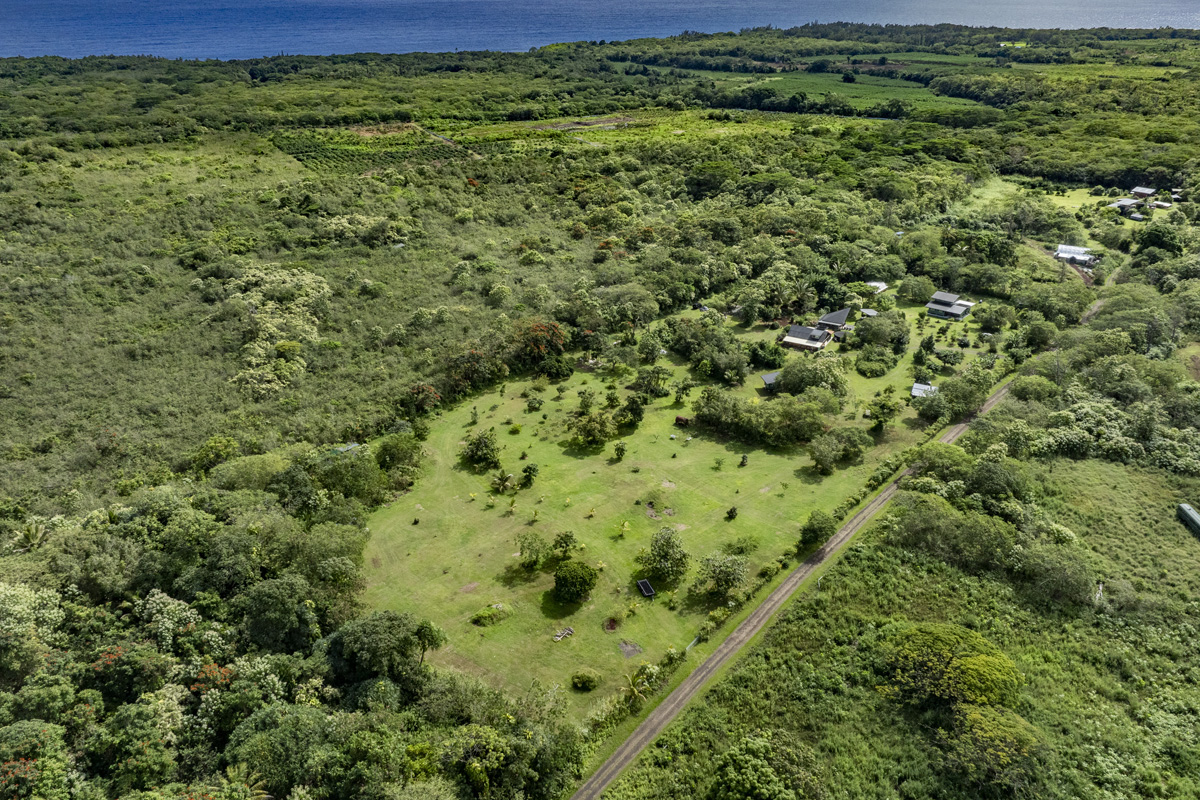 13-353 Kamaili Road Pahoa, HI 96778 - Photo 2 of 30 a view of a large yard with lots of green space