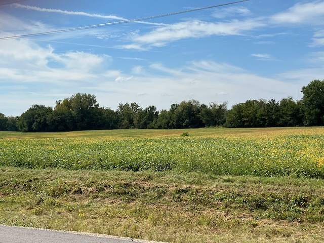 0 Wells Ferry Road Pleasant Valley, IA 52767 - Photo 5 of 5