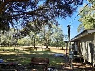 a view of yard with tree