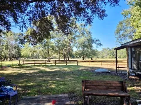 a view of a park with large trees