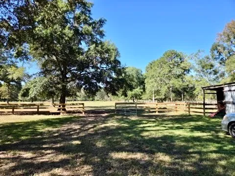 a view of a park with large trees