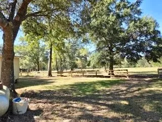 a view of a yard with trees