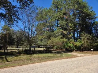 a view of road with trees