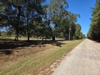 a view of road with trees