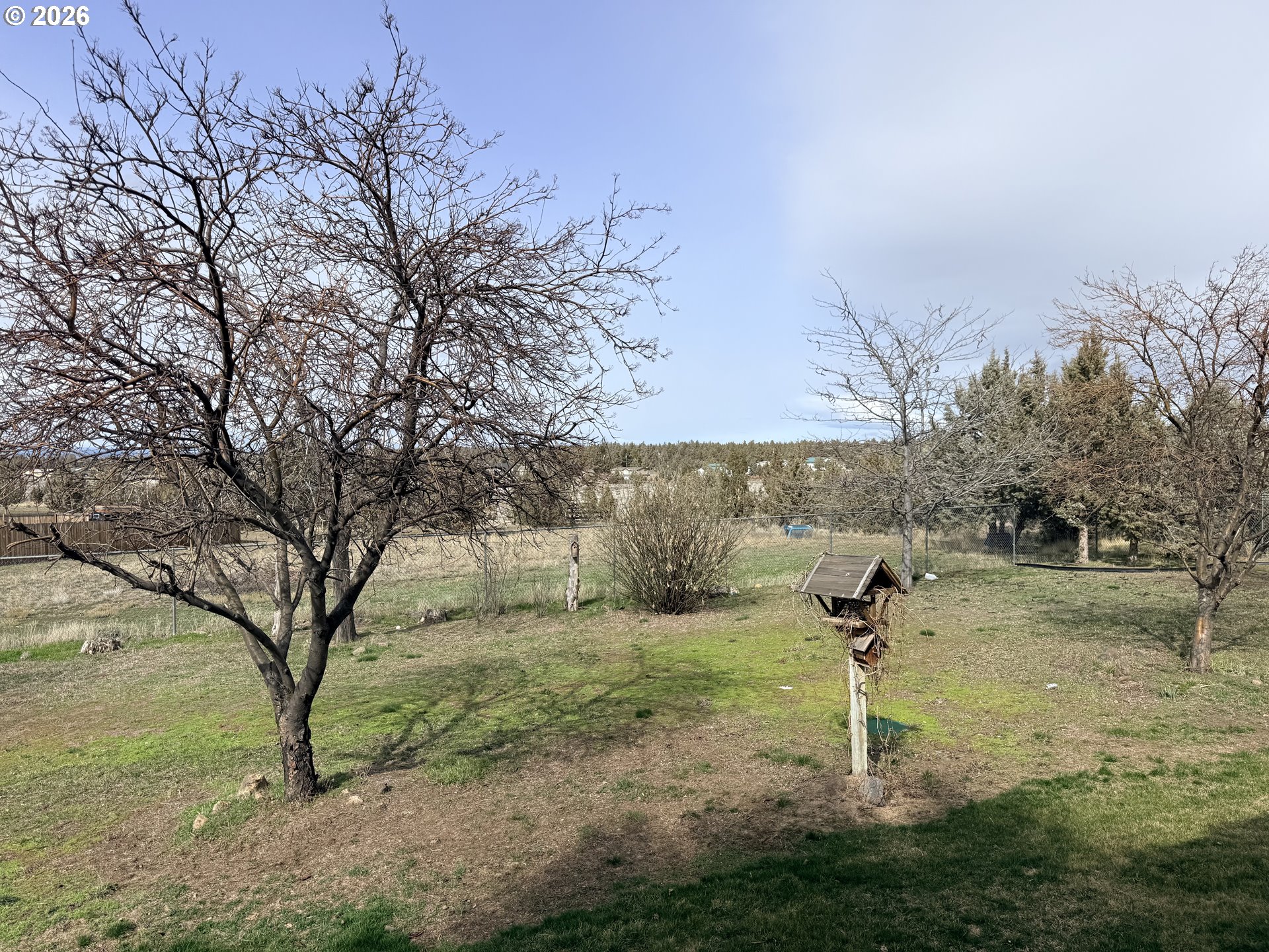 8818 Southwest Panorama Road Terrebonne, OR 97760 - Photo 16 of 46 a view of a tree in a yard