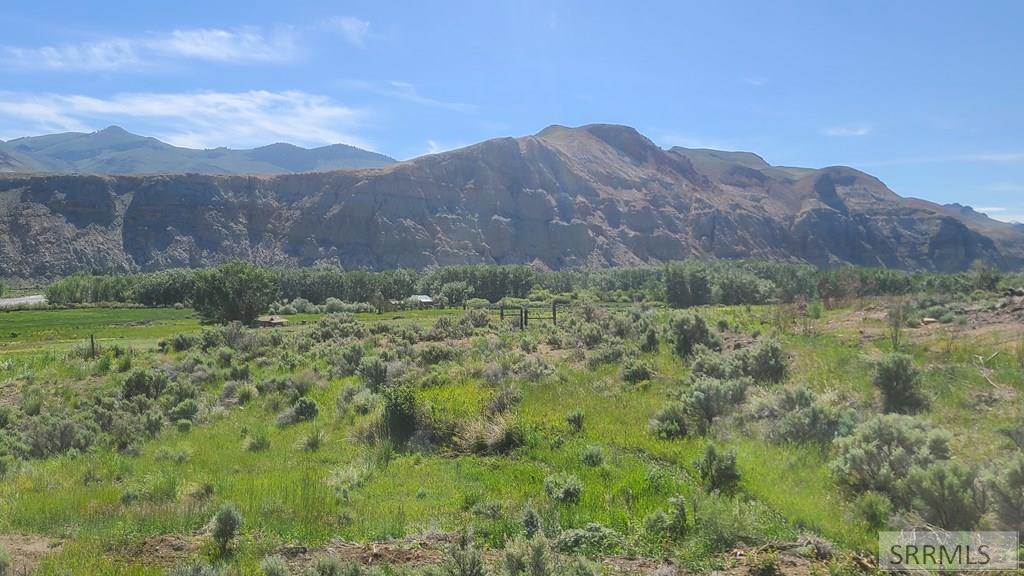 6 Homestead Trail Challis, ID 83226 - Photo 24 of 36