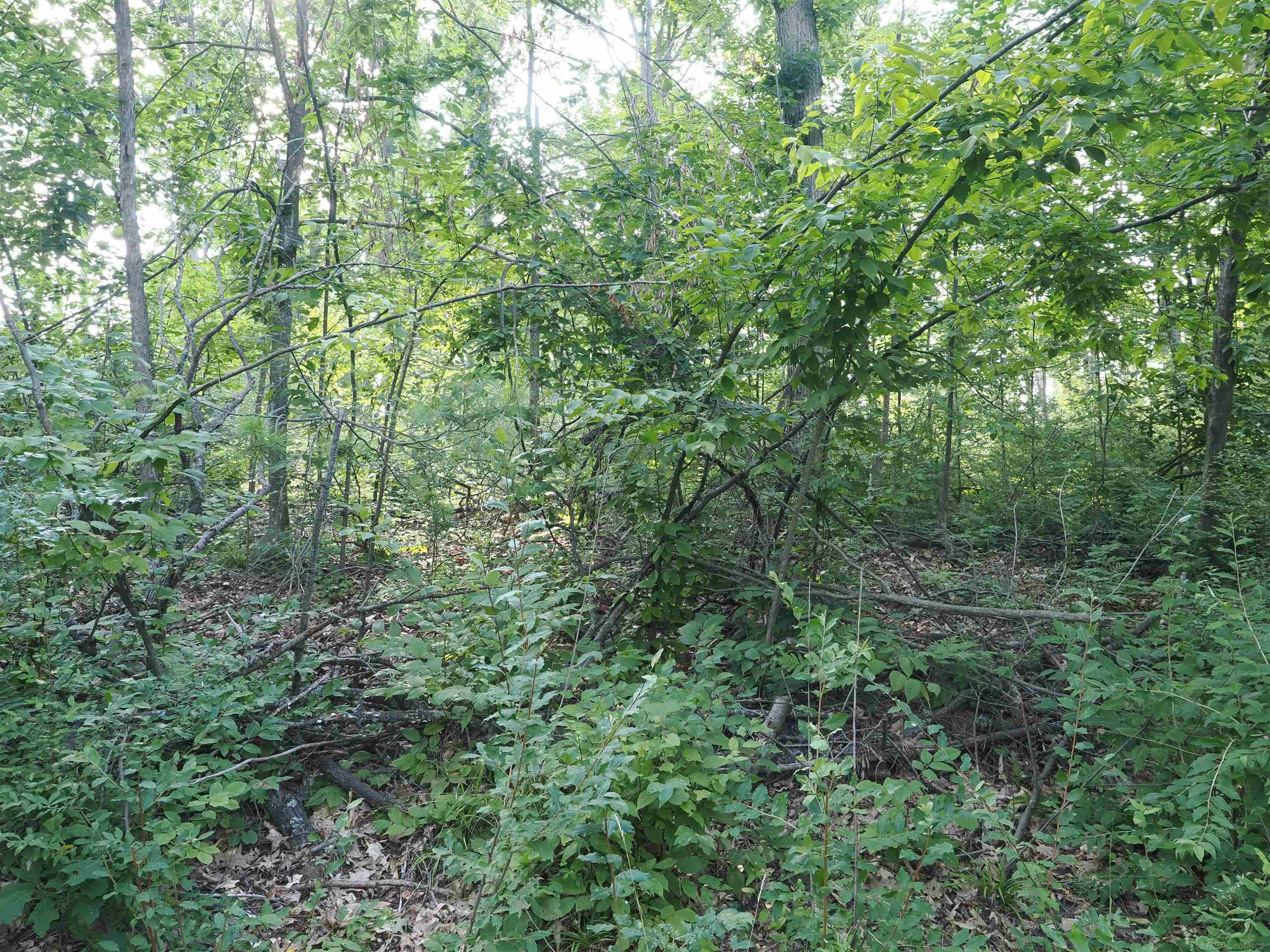 Xxx Emig Road Comins, MI 48619 - Photo 26 of 63 Gallery Image 26