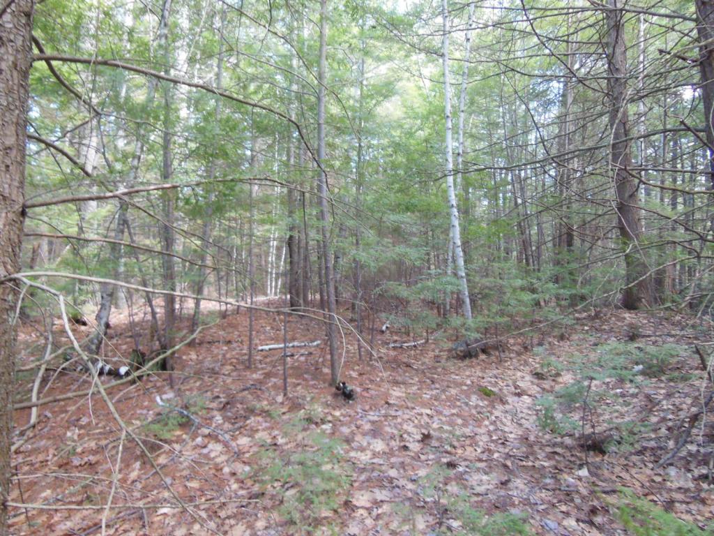 80 Frost Road Derry, NH 03038 - Photo 2 of 12