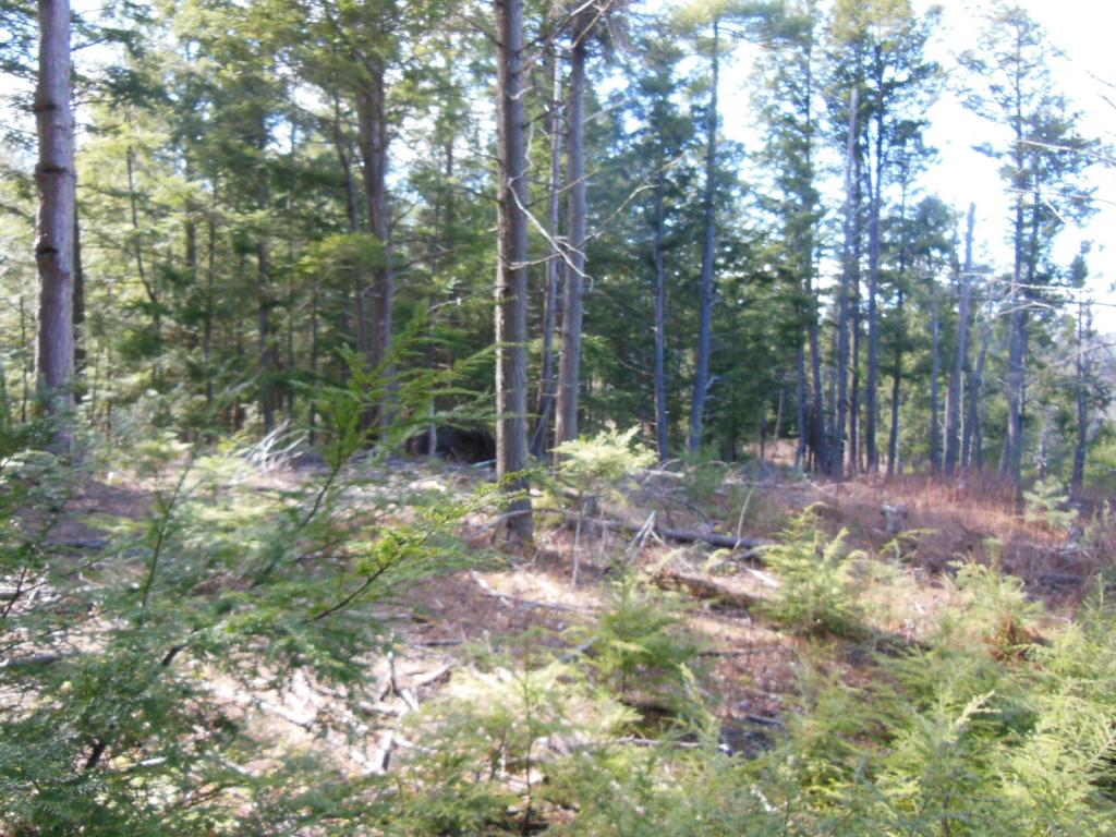80 Frost Road Derry, NH 03038 - Photo 11 of 12