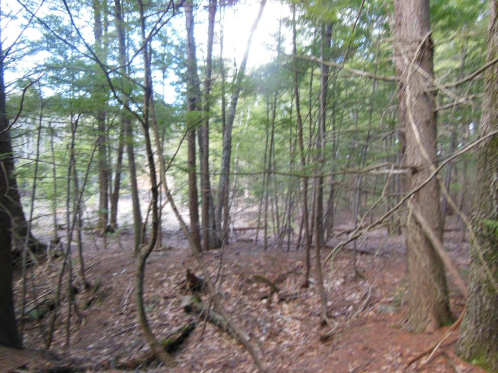 80 Frost Road Derry, NH 03038 - Photo 3 of 12