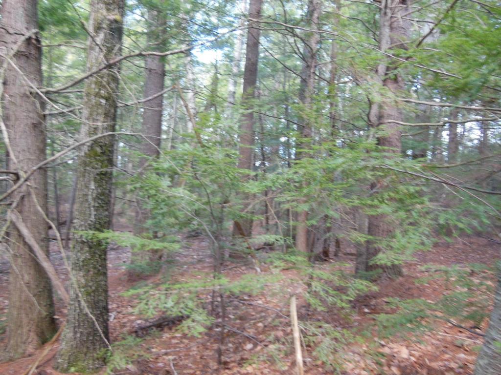 80 Frost Road Derry, NH 03038 - Photo 4 of 12