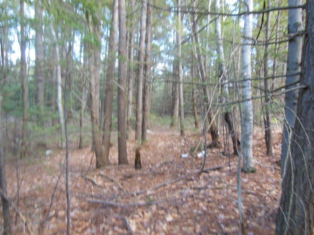 80 Frost Road Derry, NH 03038 - Photo 5 of 12