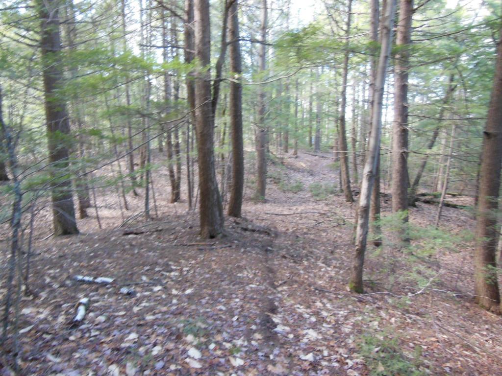 80 Frost Road Derry, NH 03038 - Photo 6 of 12