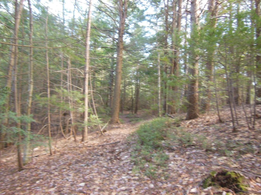 80 Frost Road Derry, NH 03038 - Photo 7 of 12