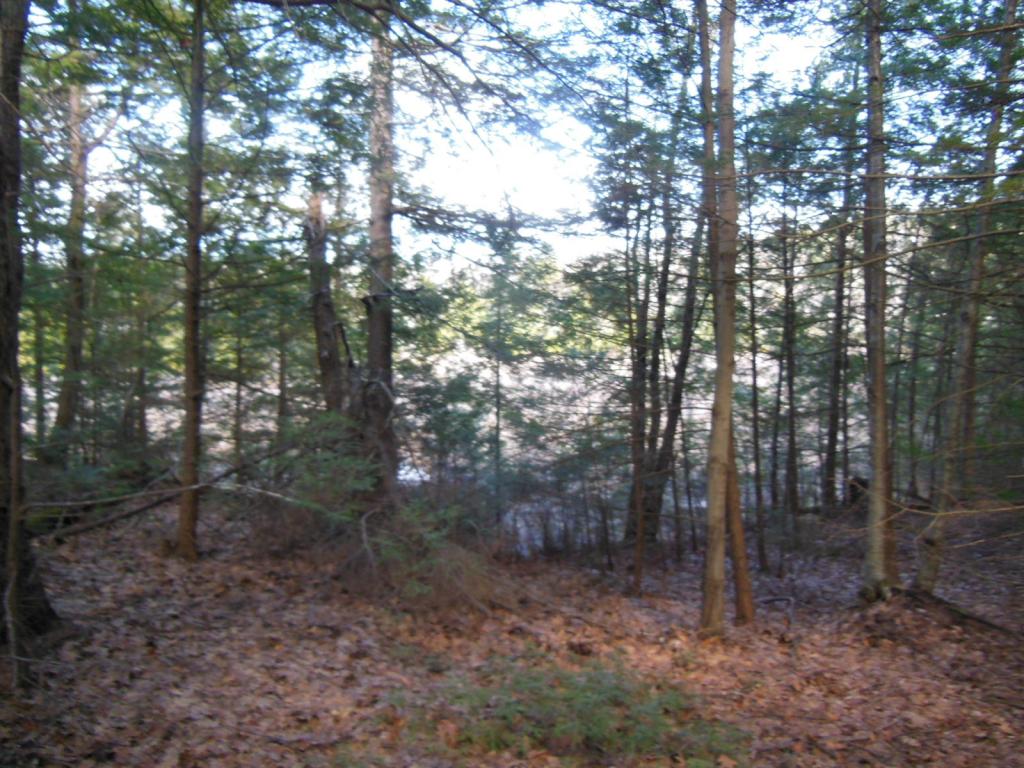 80 Frost Road Derry, NH 03038 - Photo 8 of 12