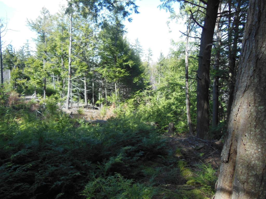 80 Frost Road Derry, NH 03038 - Photo 10 of 12