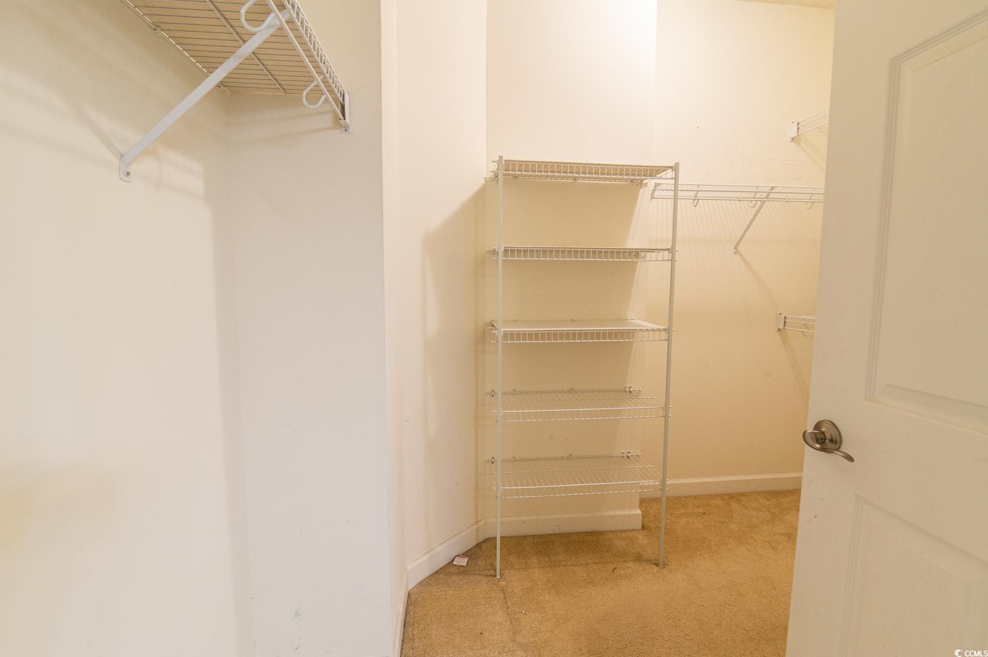 111 Rose Water Loop Myrtle Beach, SC 29588 - Photo 14 of 39 Walk in closet featuring carpet floors