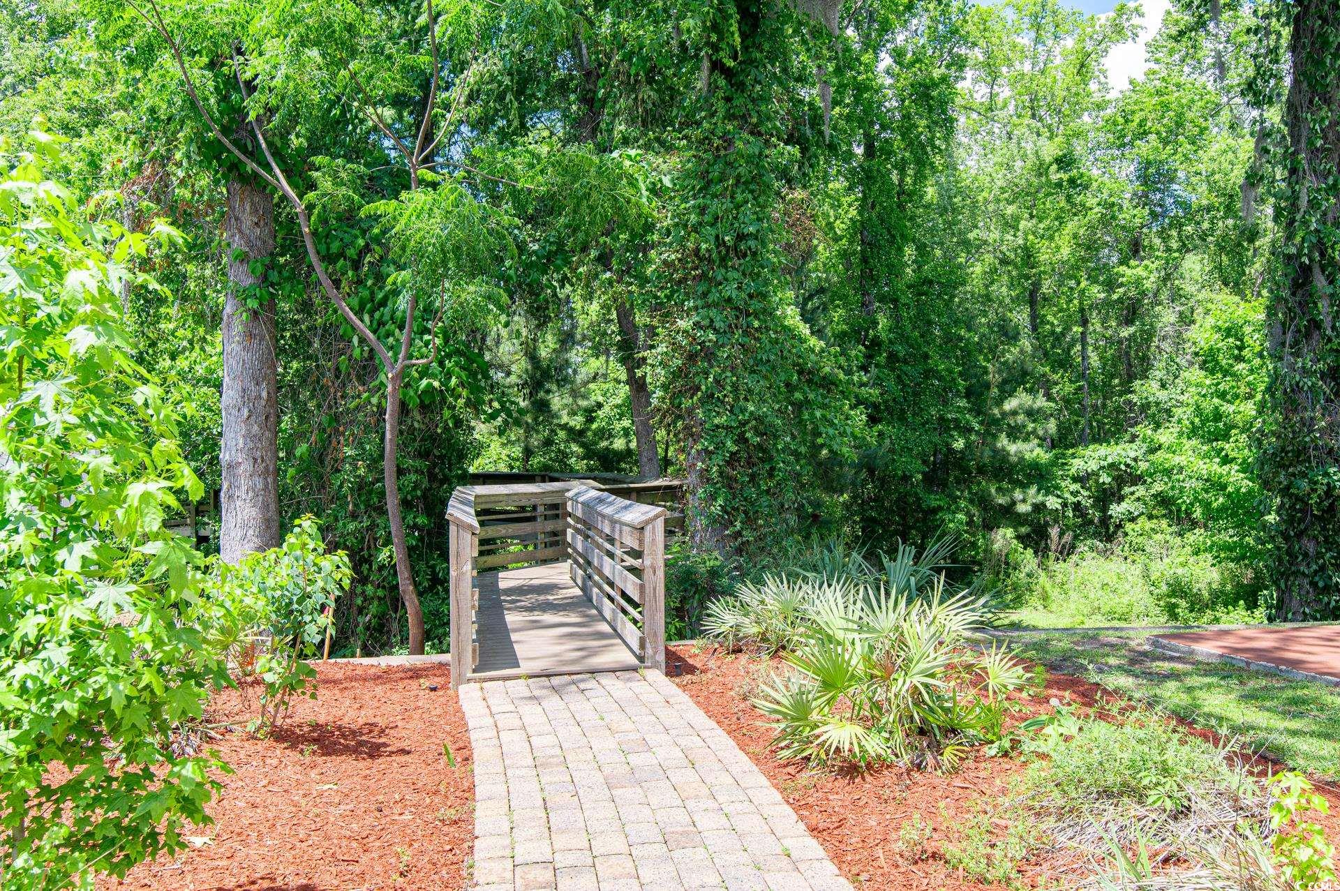 111 Rose Water Loop Myrtle Beach, SC 29588 - Photo 34 of 39 View of community