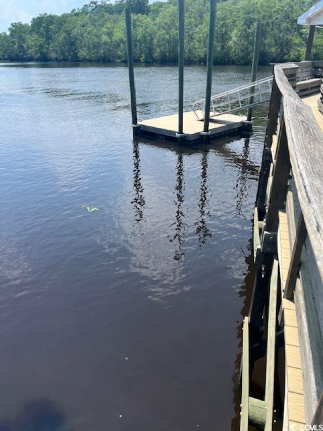 111 Rose Water Loop Myrtle Beach, SC 29588 - Photo 38 of 39 Dock with a water view and a view of trees