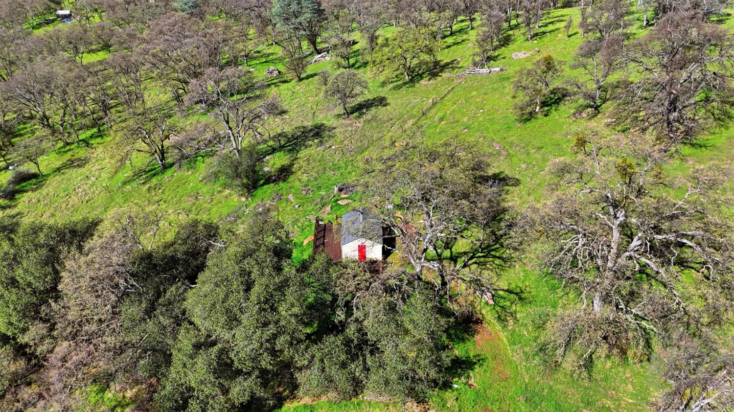 1892 Pinto Drive Angels Camp, CA 95222 - Photo 22 of 37