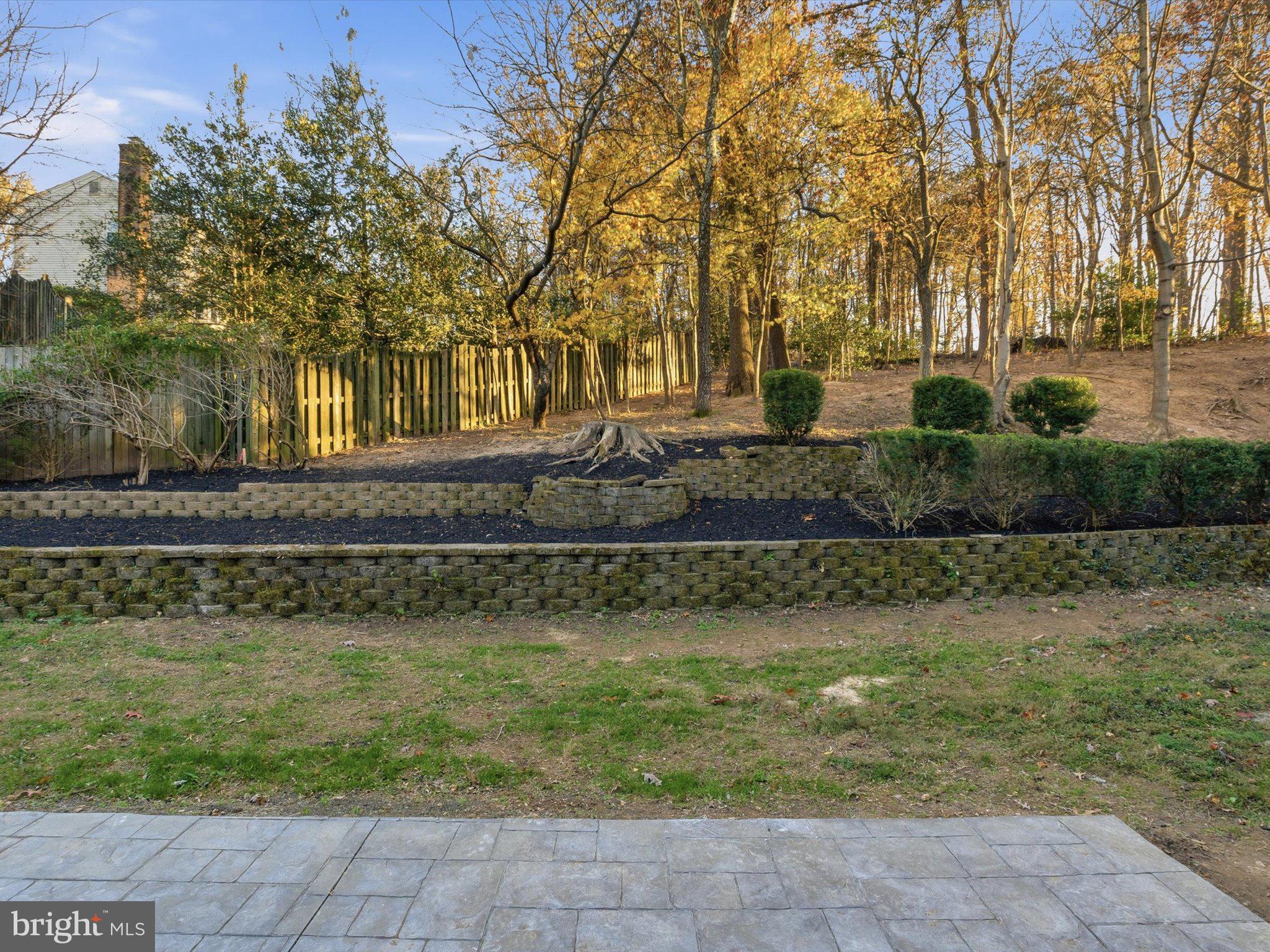 2133 Freda Drive Vienna, VA 22181 - Photo 40 of 45 a view of a yard with plants and large trees